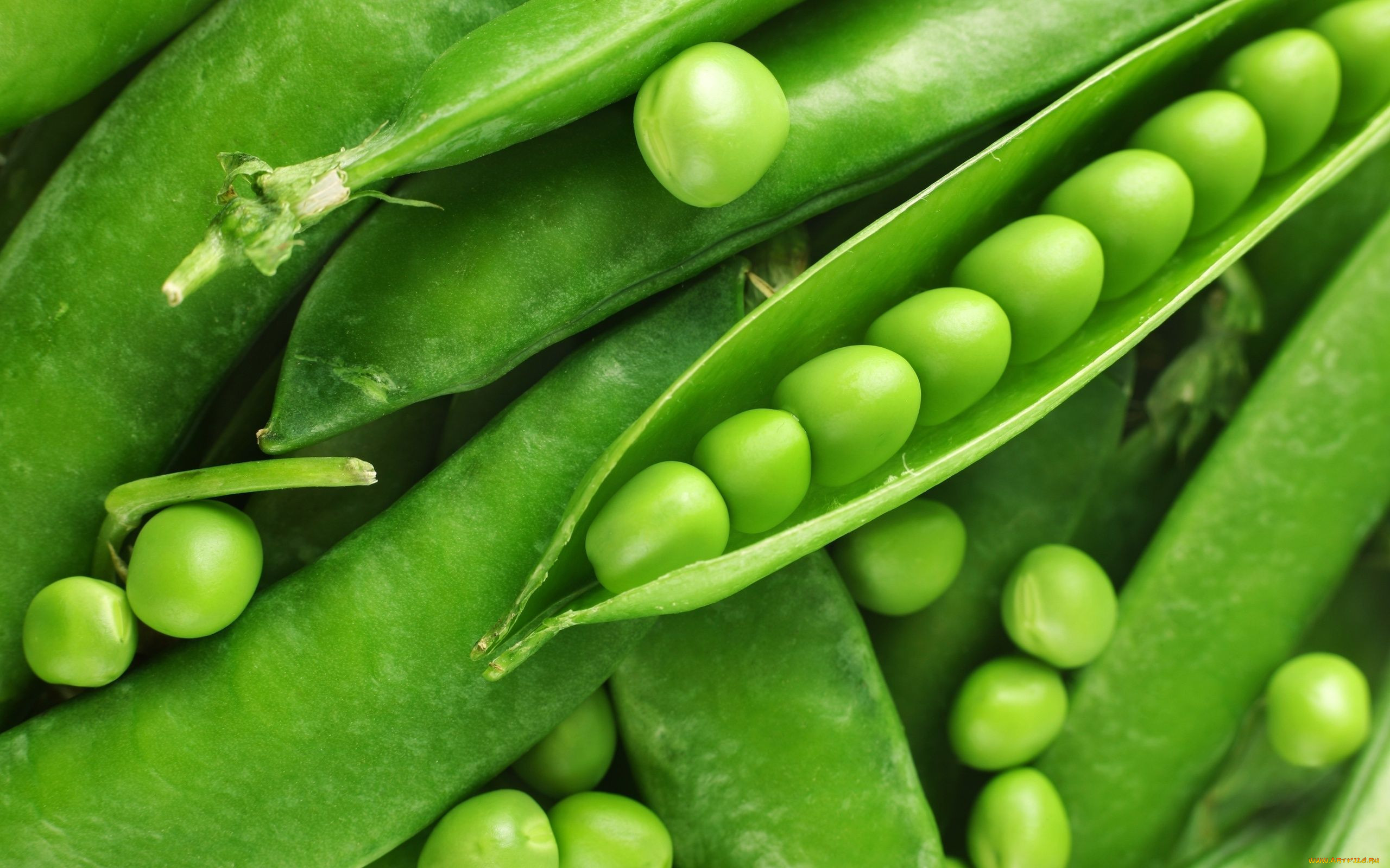 Green Peas горошек